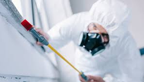 Real Estate Pest Inspections in Hooker, OK